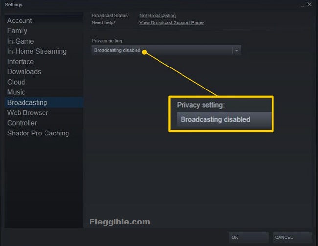 Steam privacy settings how to broadcast on steam